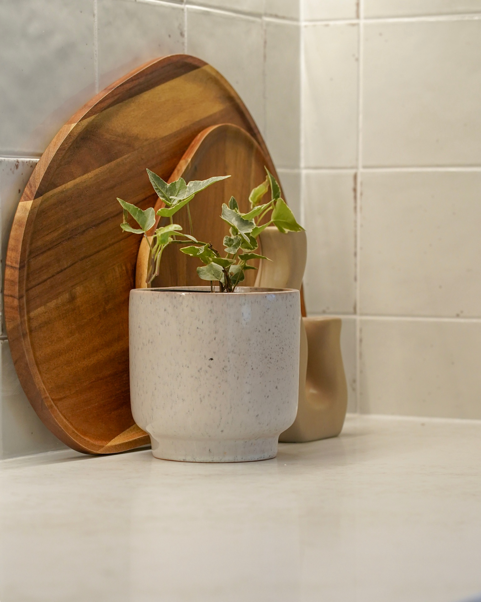 Styled Perla Venata Surfaces